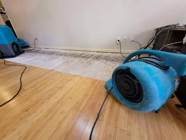 Reliable Basement Flood Cleanup contractor in Burlington, OH by Hirex Water Damage