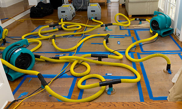Professional Basement Flood Cleanup technician working in Burlington, OH